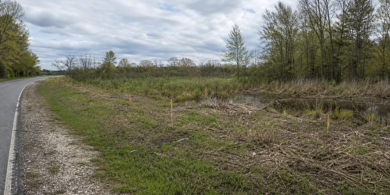Roadside land reviewed for development constraints.